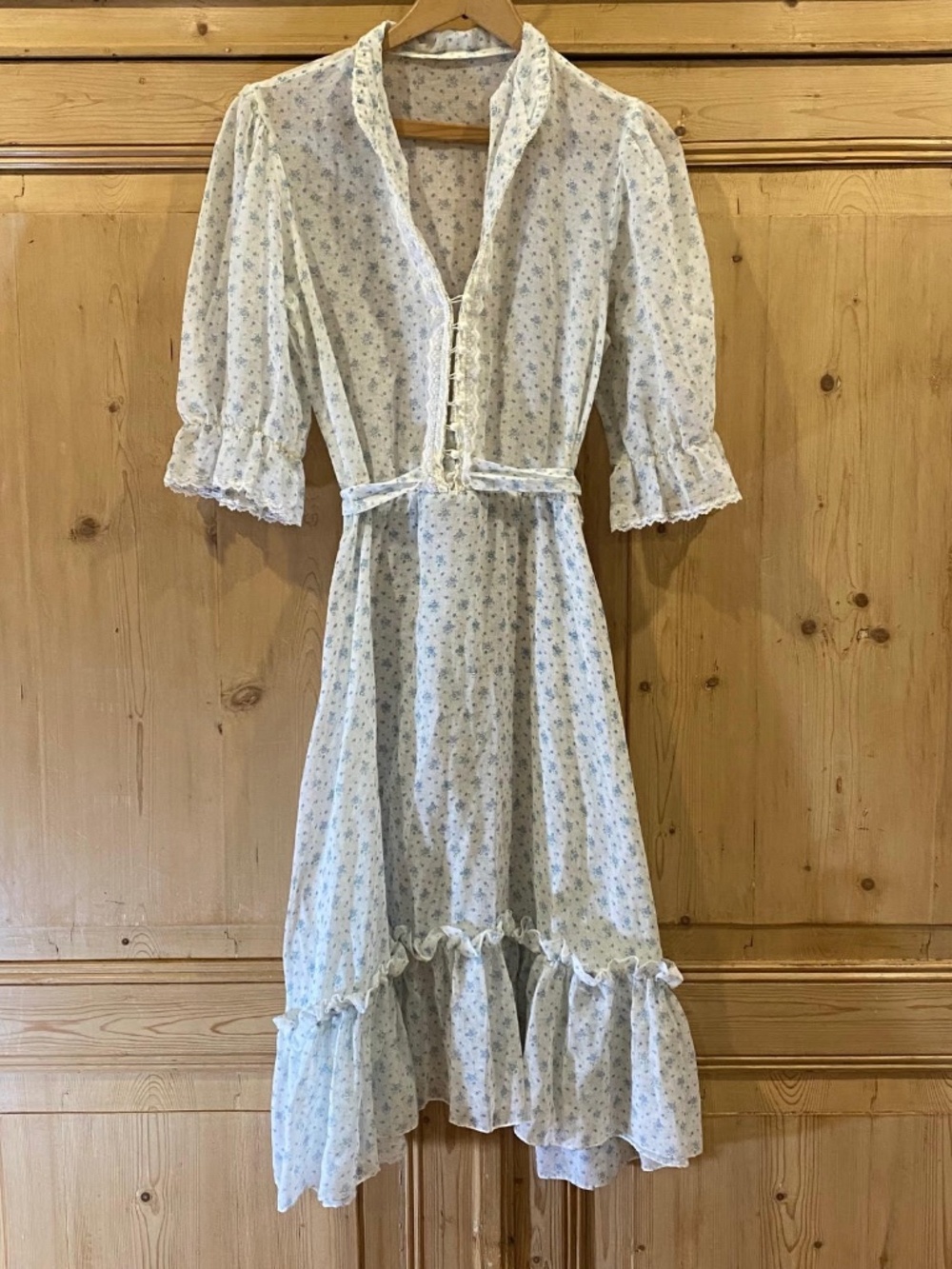 Vintage 1970s Sheer Floral Cottagecore Prairiecore Prairie Dress